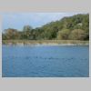 37_Lac Bourget.jpg